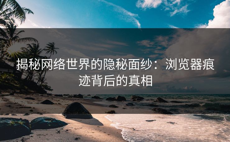 揭秘网络世界的隐秘面纱：浏览器痕迹背后的真相